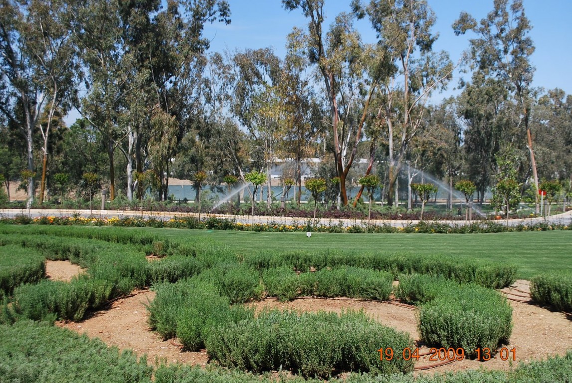 imagini hotel CORNELIA DIAMOND BELEK